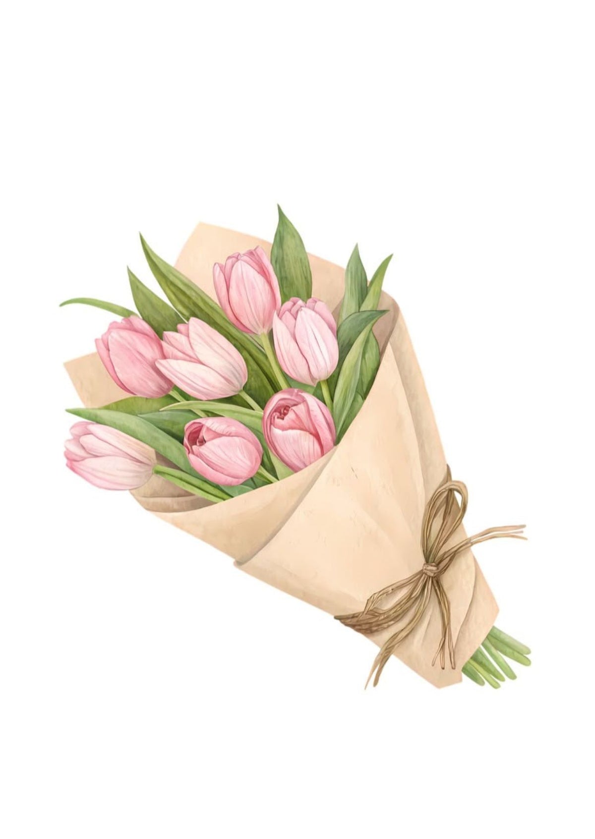 Pink Tulip
